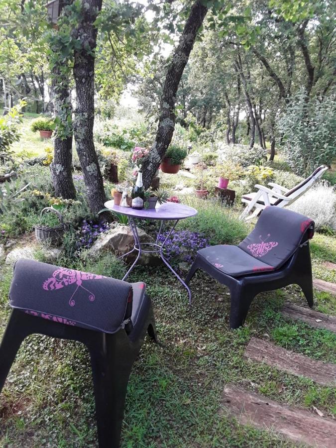 Apartments Bijou With Big Private Garden Near Umag Vilanija Exterior foto
