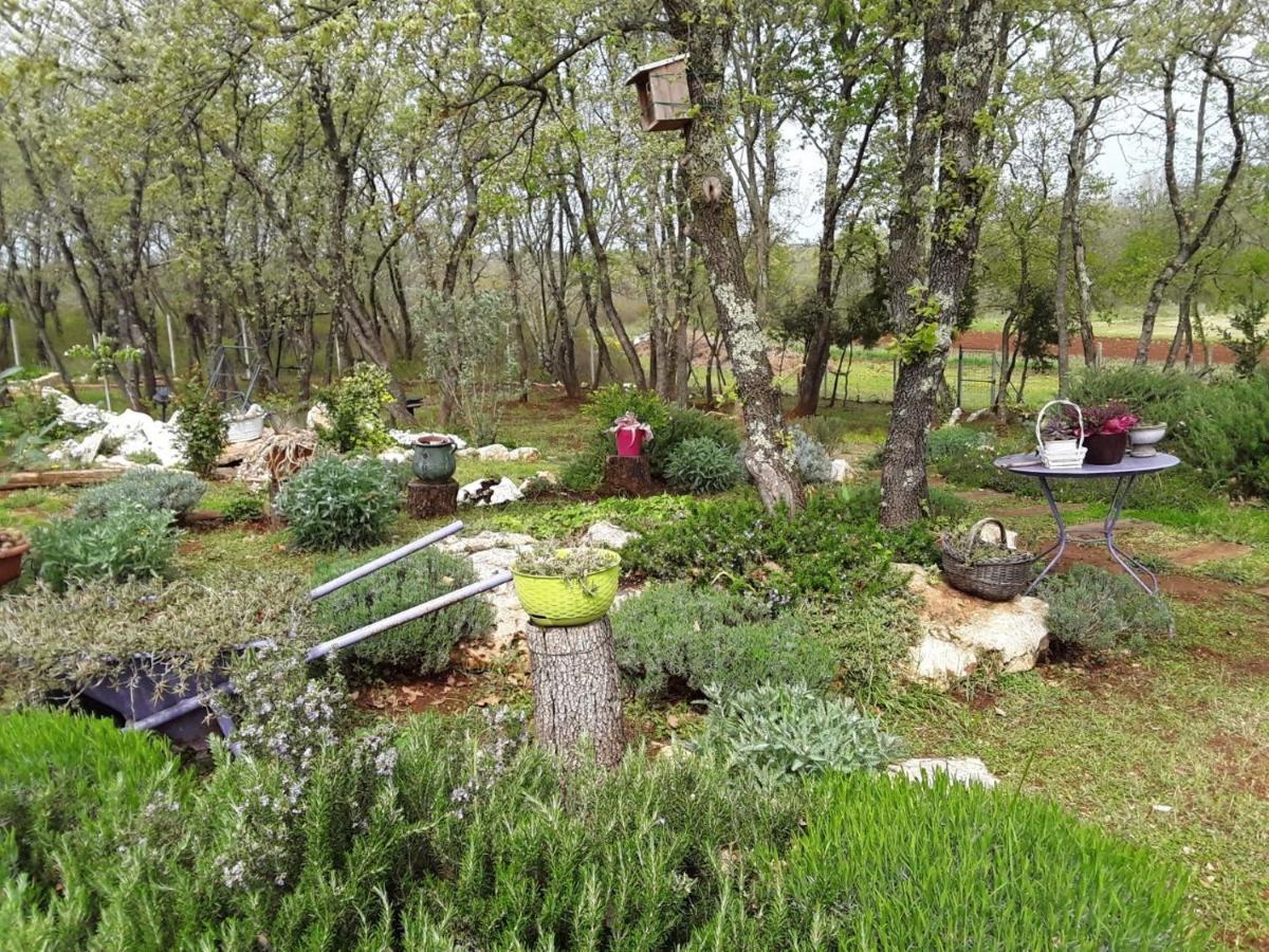 Apartments Bijou With Big Private Garden Near Umag Vilanija Exterior foto
